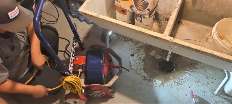 After four cat boxes were cleaned in the laundry tub, we unclogged the floor drain, so it was draining purrrfectly